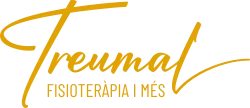 Treumal Fisioterapia i més